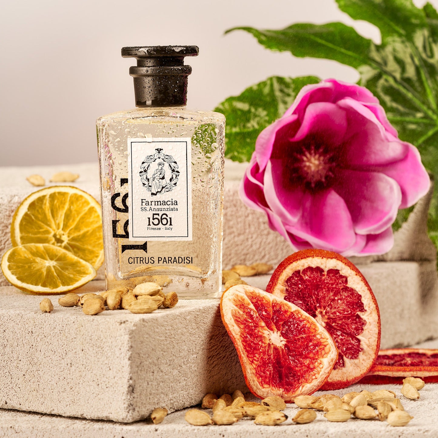 Profumo Citrus Paradisi - Eau de Parfum - 50ml