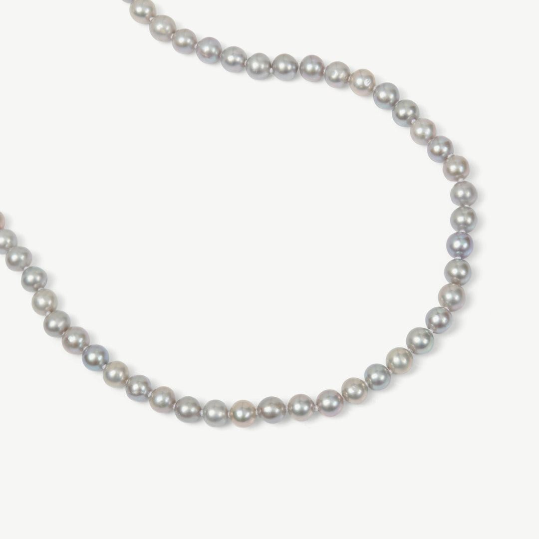 Pearl necklace on a white background
