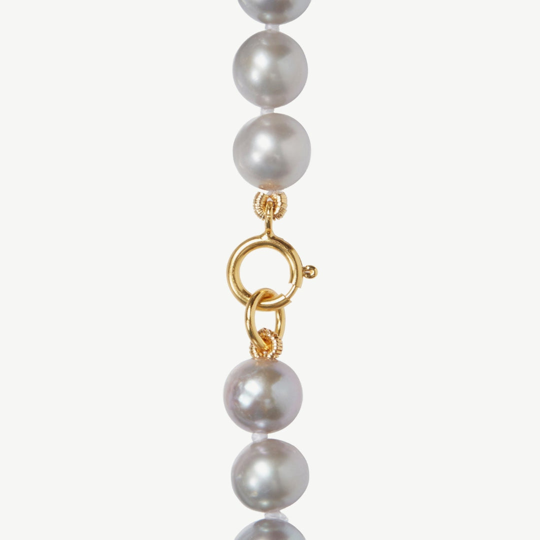 Pearl necklace with a gold clasp on a white background