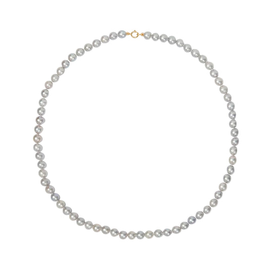 Pearl necklace on a white background
