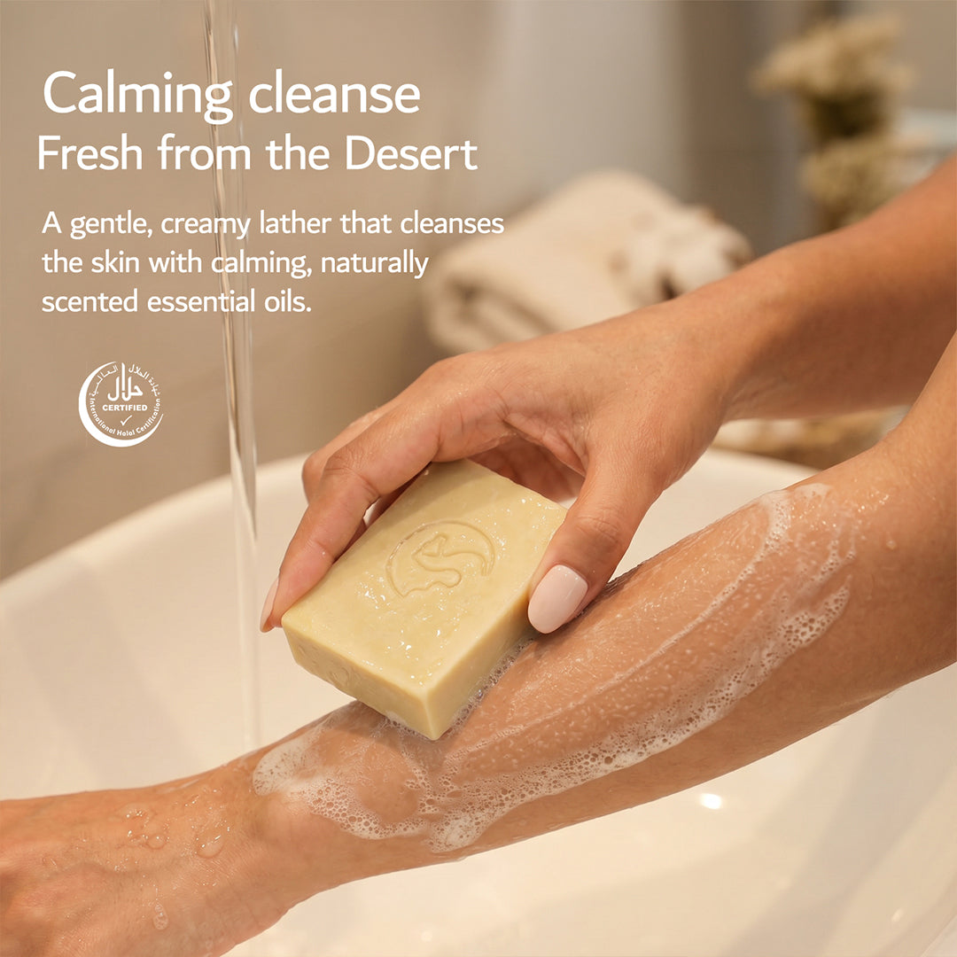 Lavender & Rose Geranium Castile Soap Bar (Pack of 5)