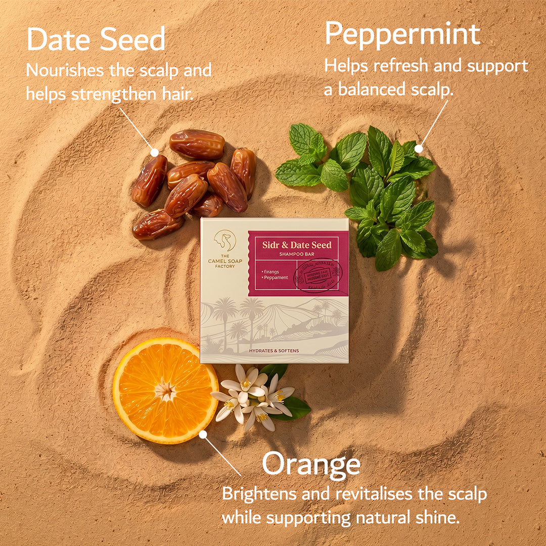 Sidr & Date Seed Haircare Bundle